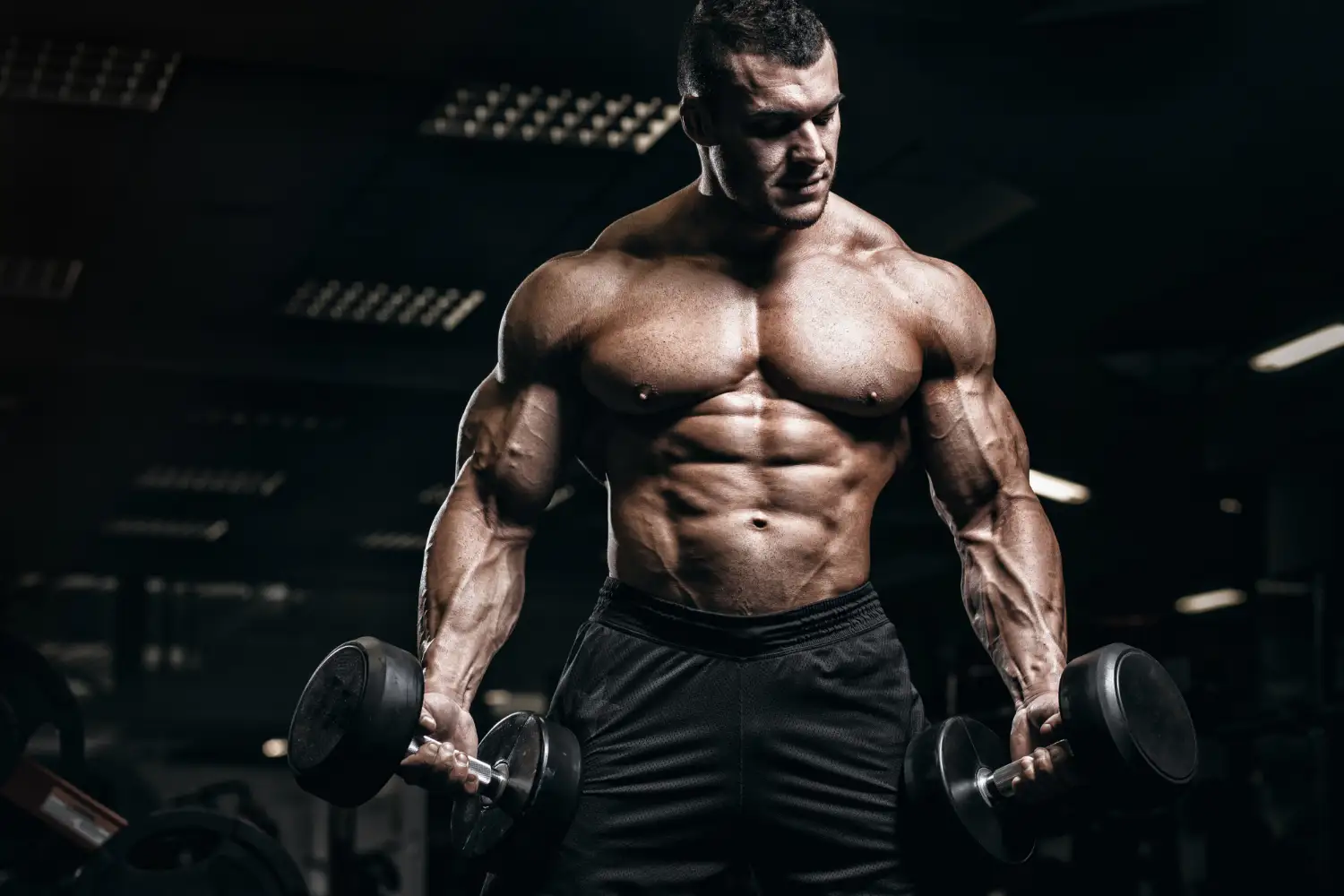 SynergyFiit Newsletter